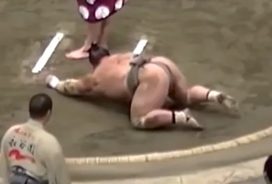 sumoshow