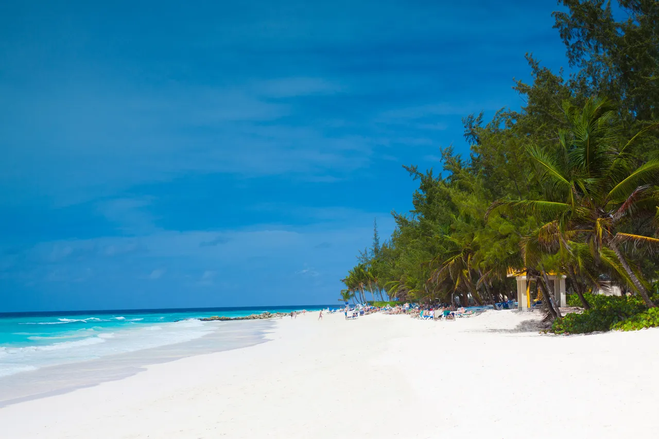 tropical beach in barbados 1