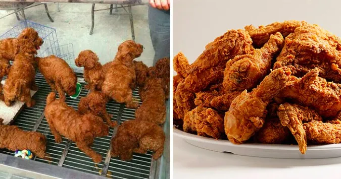 wwib 14