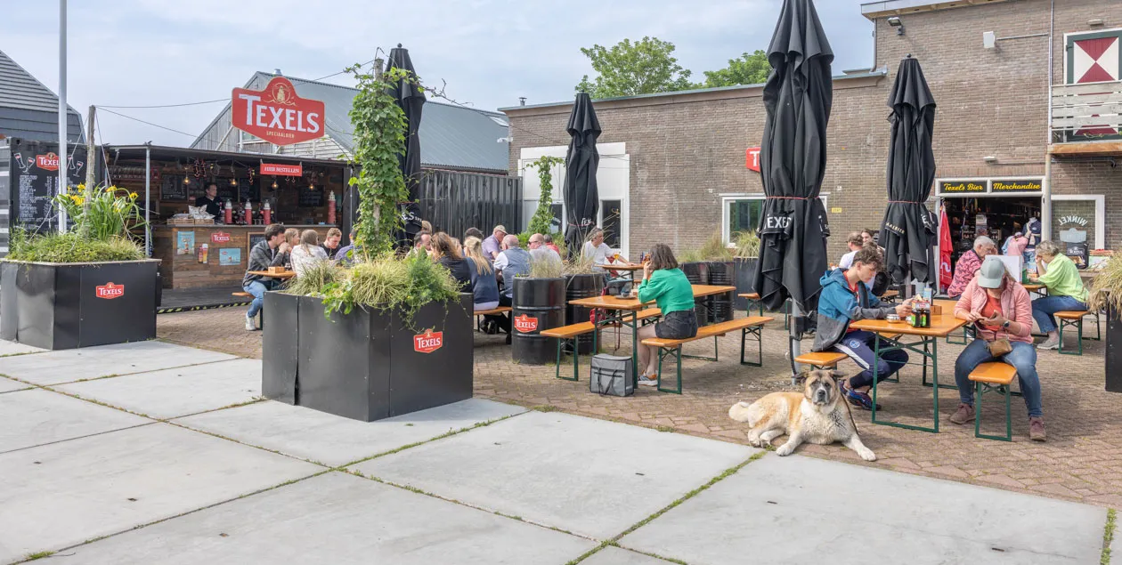 biertuin texels