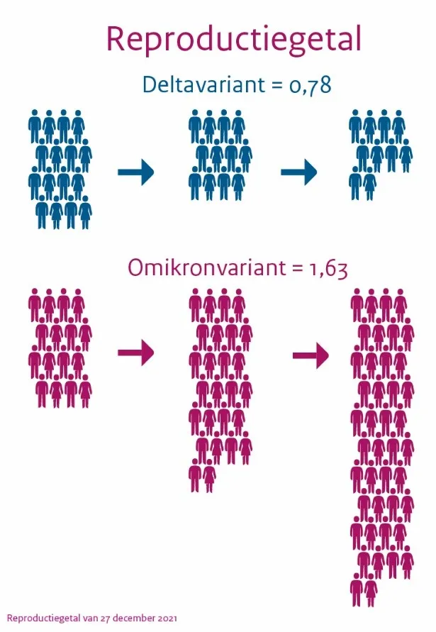 figuur 3 reproductie