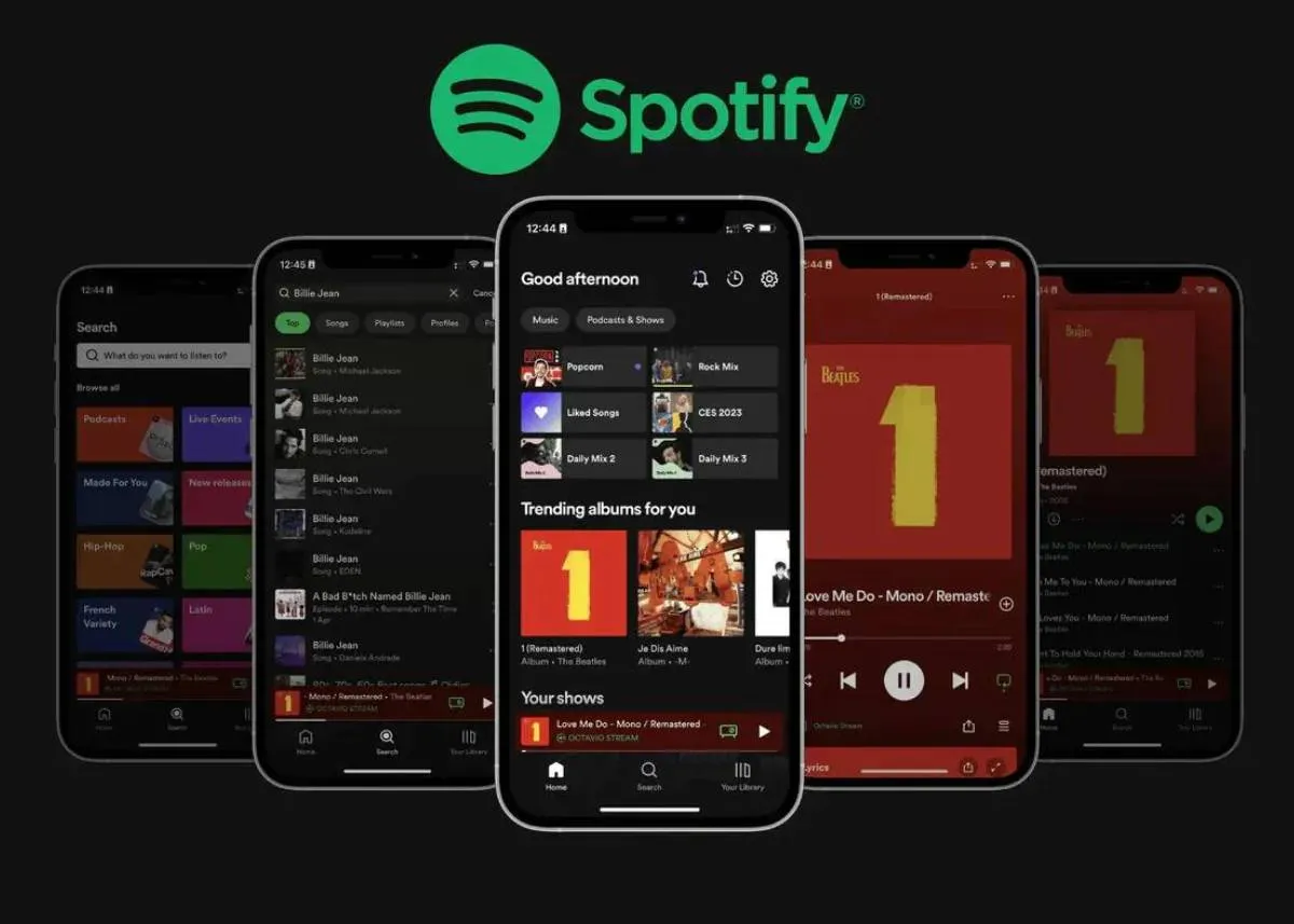 Spotify Managed accounts