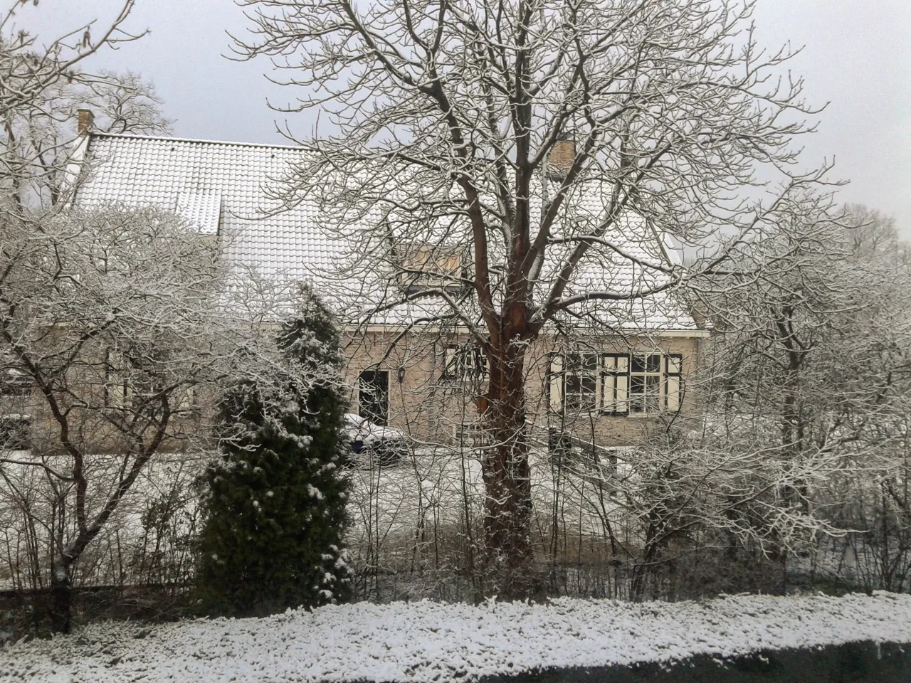 sneeuw 1