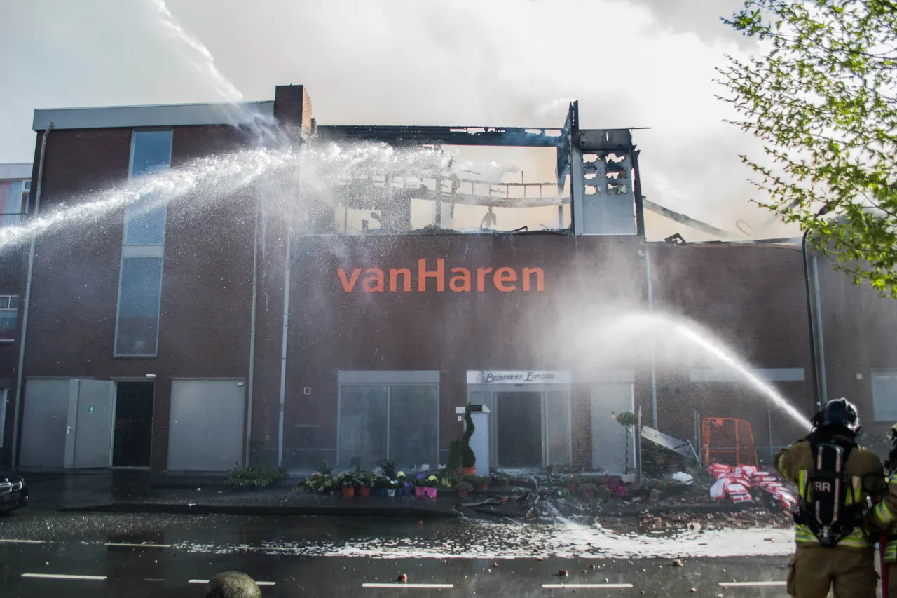 brand dn diek 11