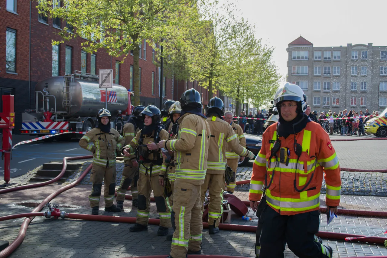 brand dn diek 15