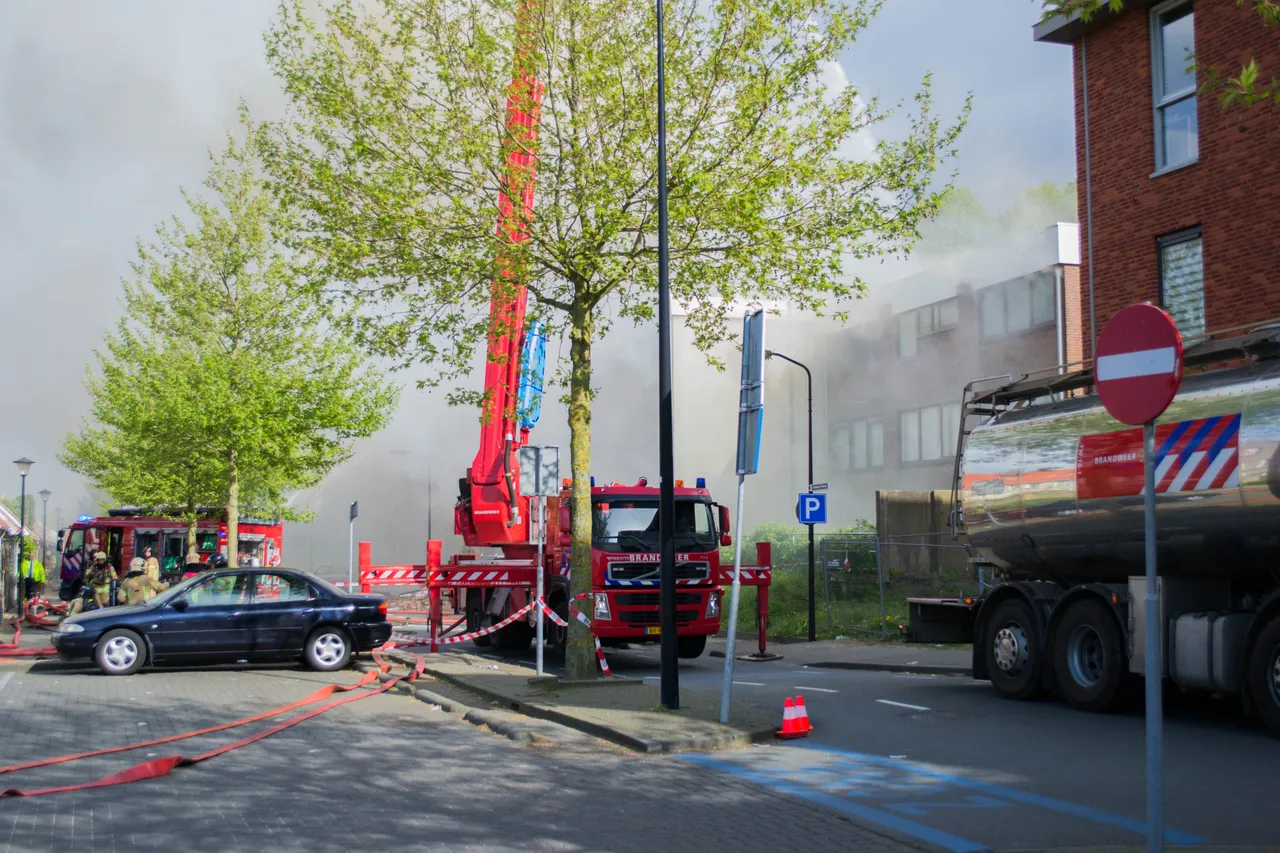 brand dn diek 3
