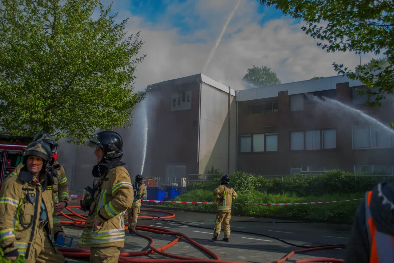brand dn diek 5