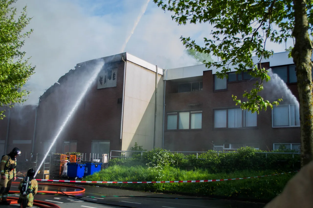 brand dn diek 7