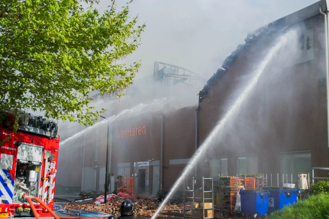 brand dn diek 9