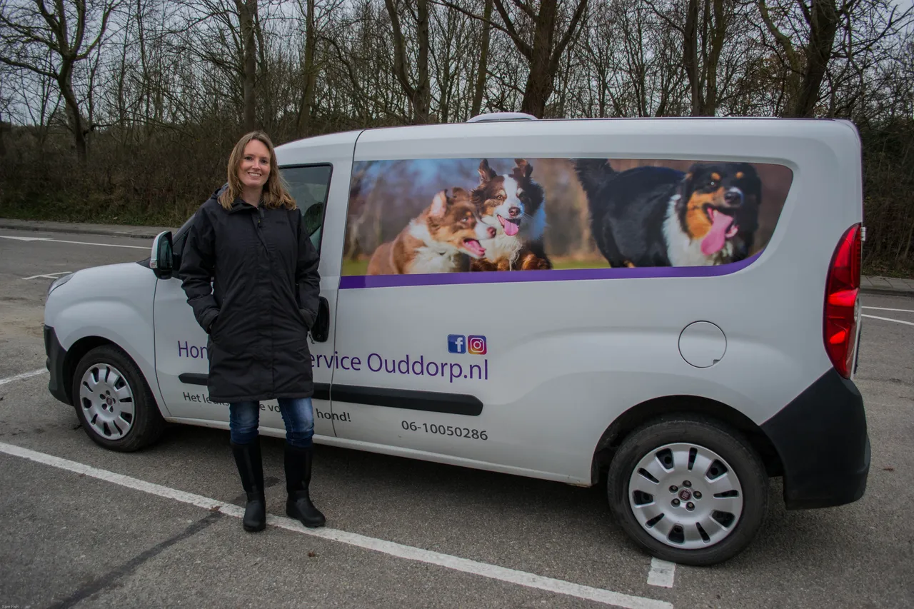 hondenuitlaatservice ouddorp 13