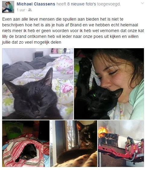 kat