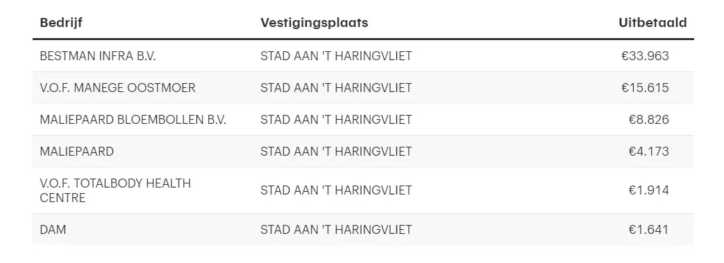 stad aan t haringvliet