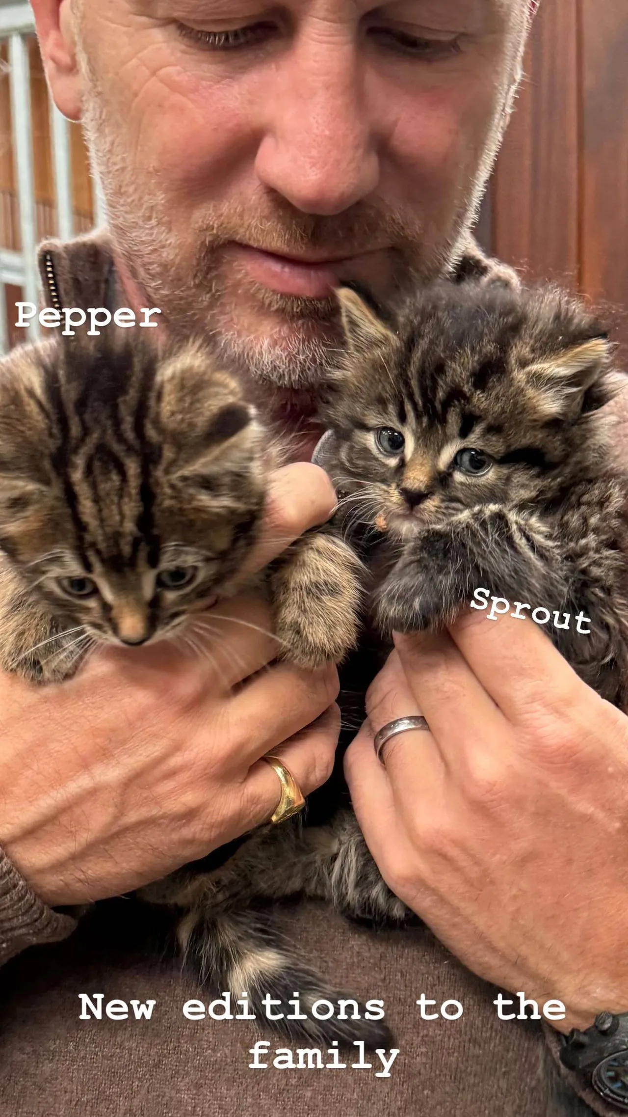 christian-horner-katten.jpg.