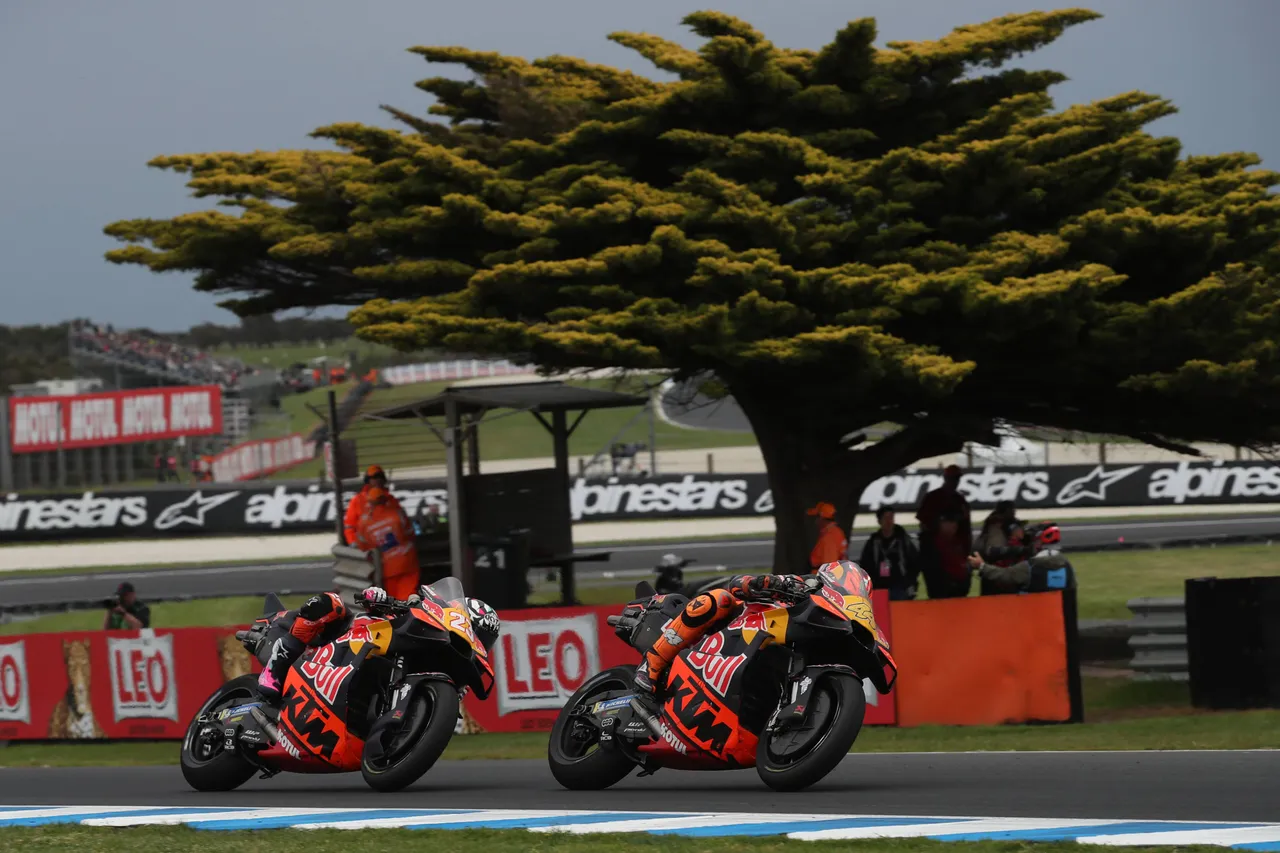Philip Island tree KTM MotoGP