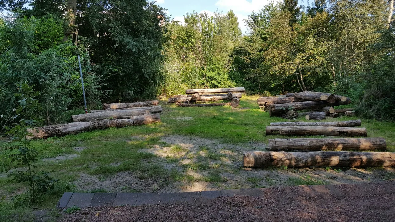 20160831 161338 resized