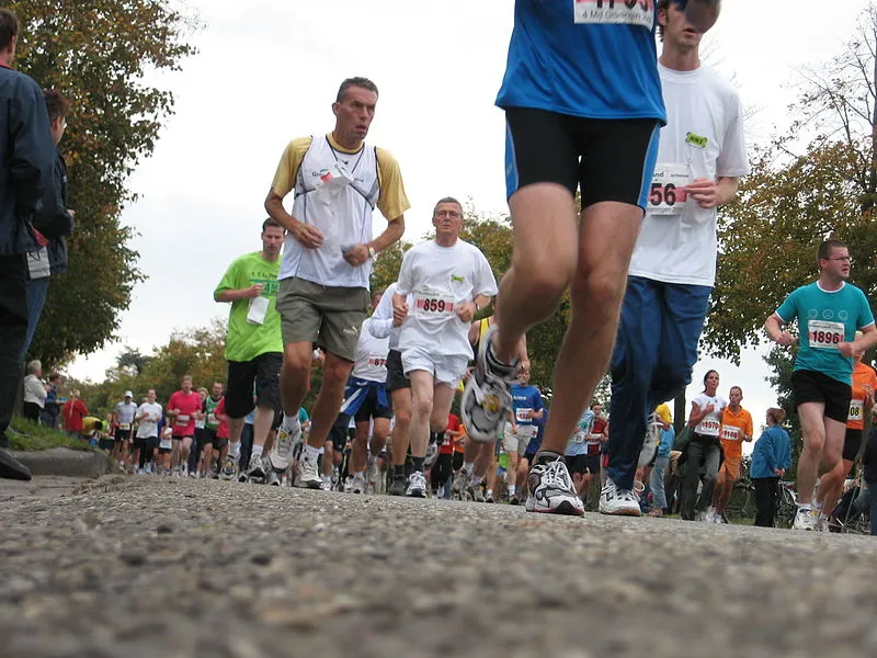 4 mijl van groningen 2006 cc by sa 30 wikipedia commons kevster