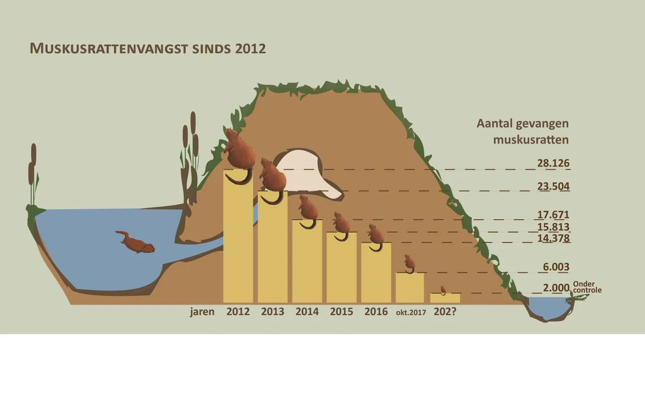 mura infographic beheer 2017