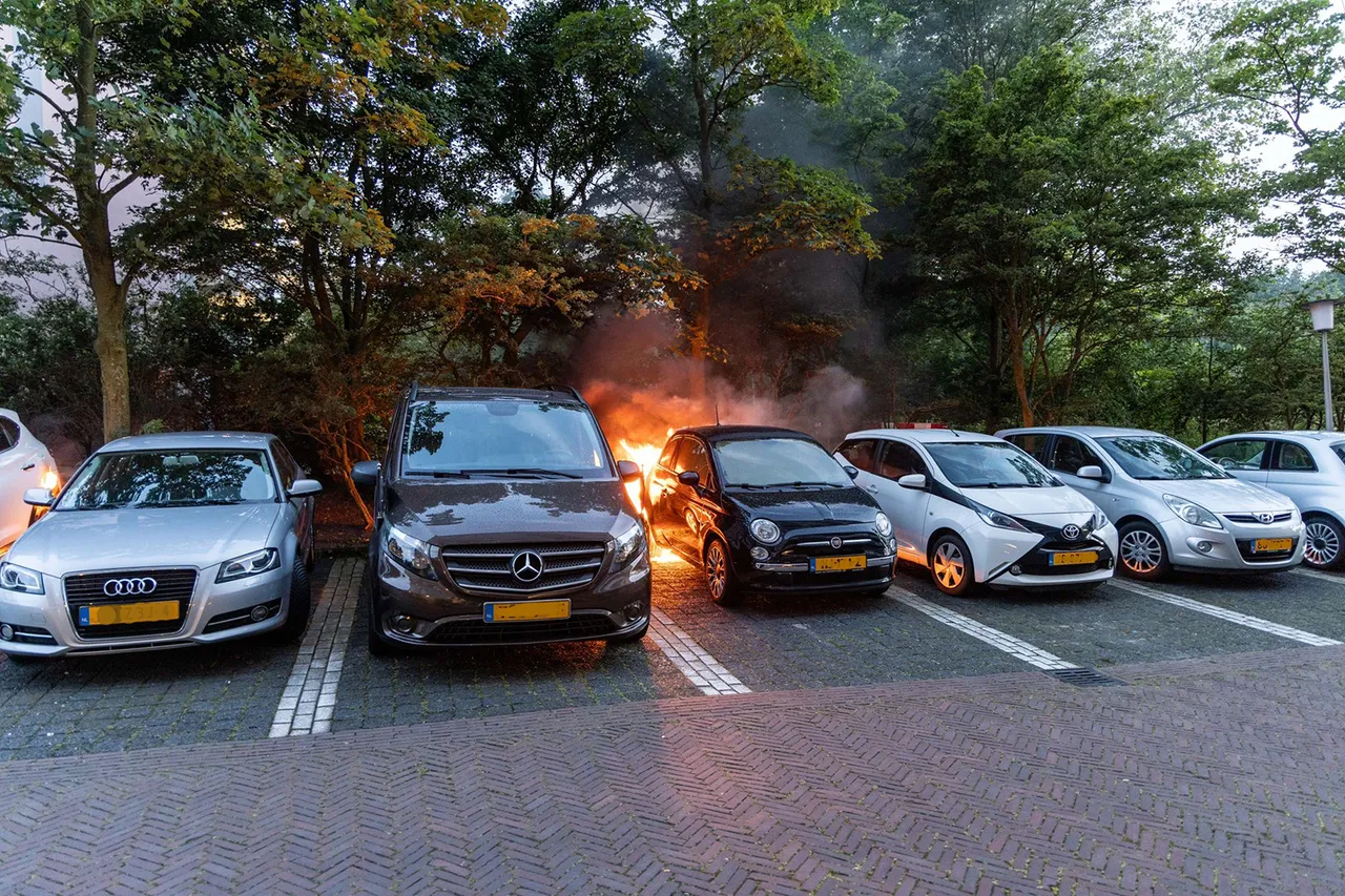 1e81e313 6b07 4bda ac83 d029e8d15d39 kopieren