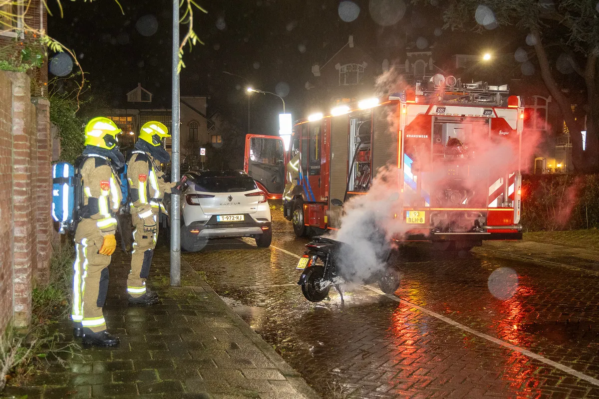 20231125 westerhoutpark 02