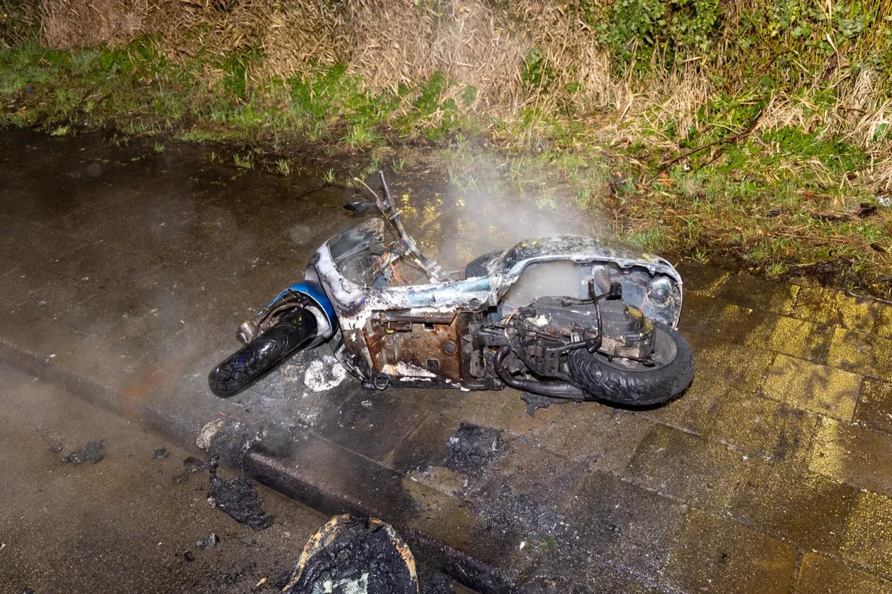 98cd92ef b7c4 47a3 b9e5 ff9c55f4bfe0