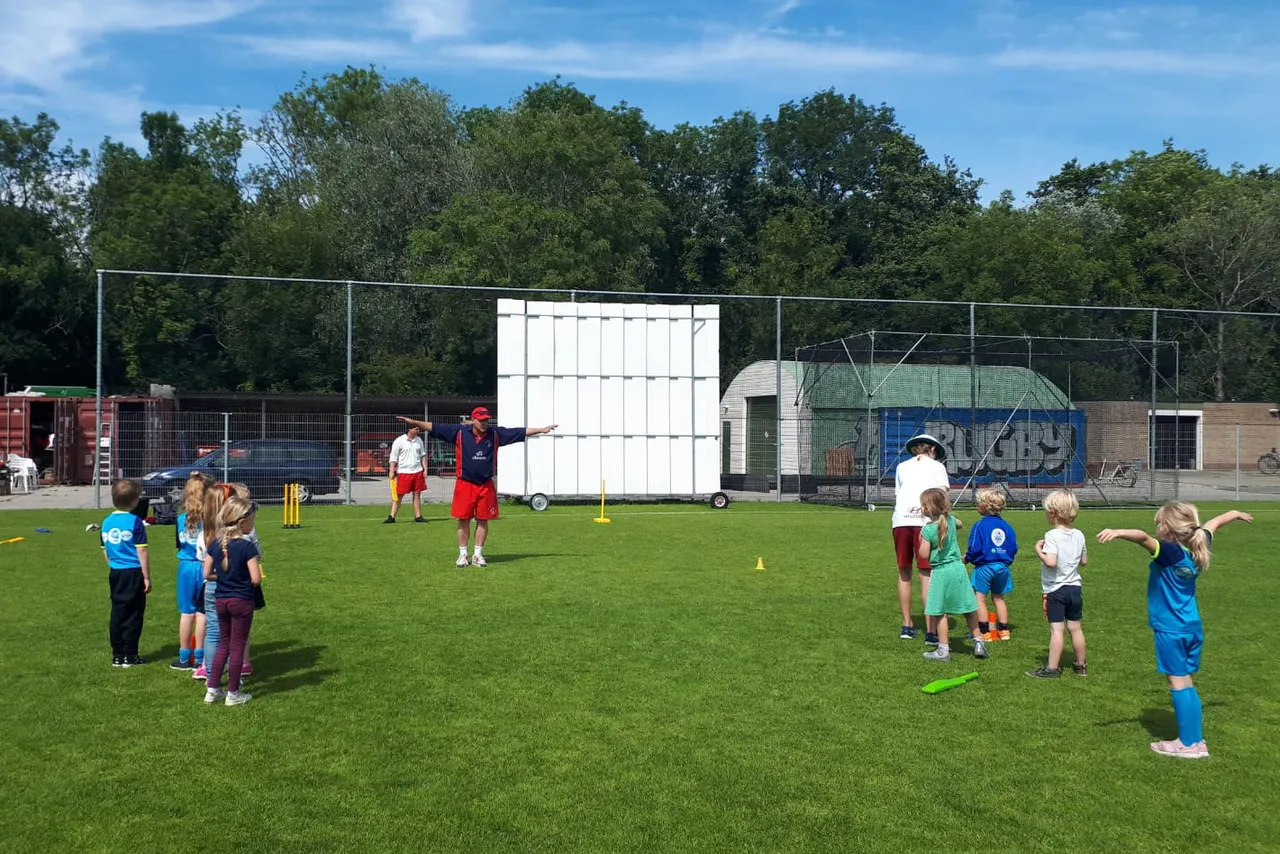 afb cricket