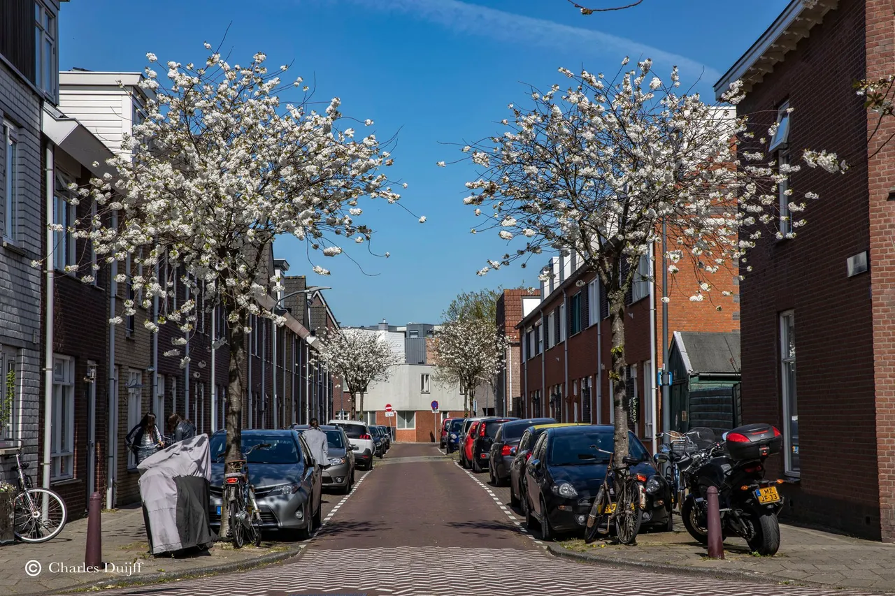 aldeyserinckstraat