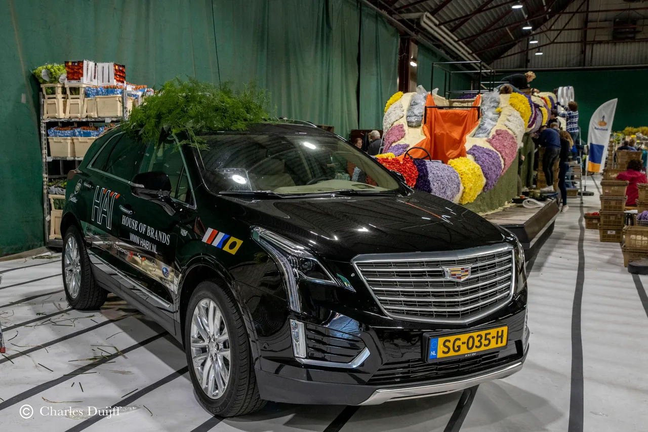 auto