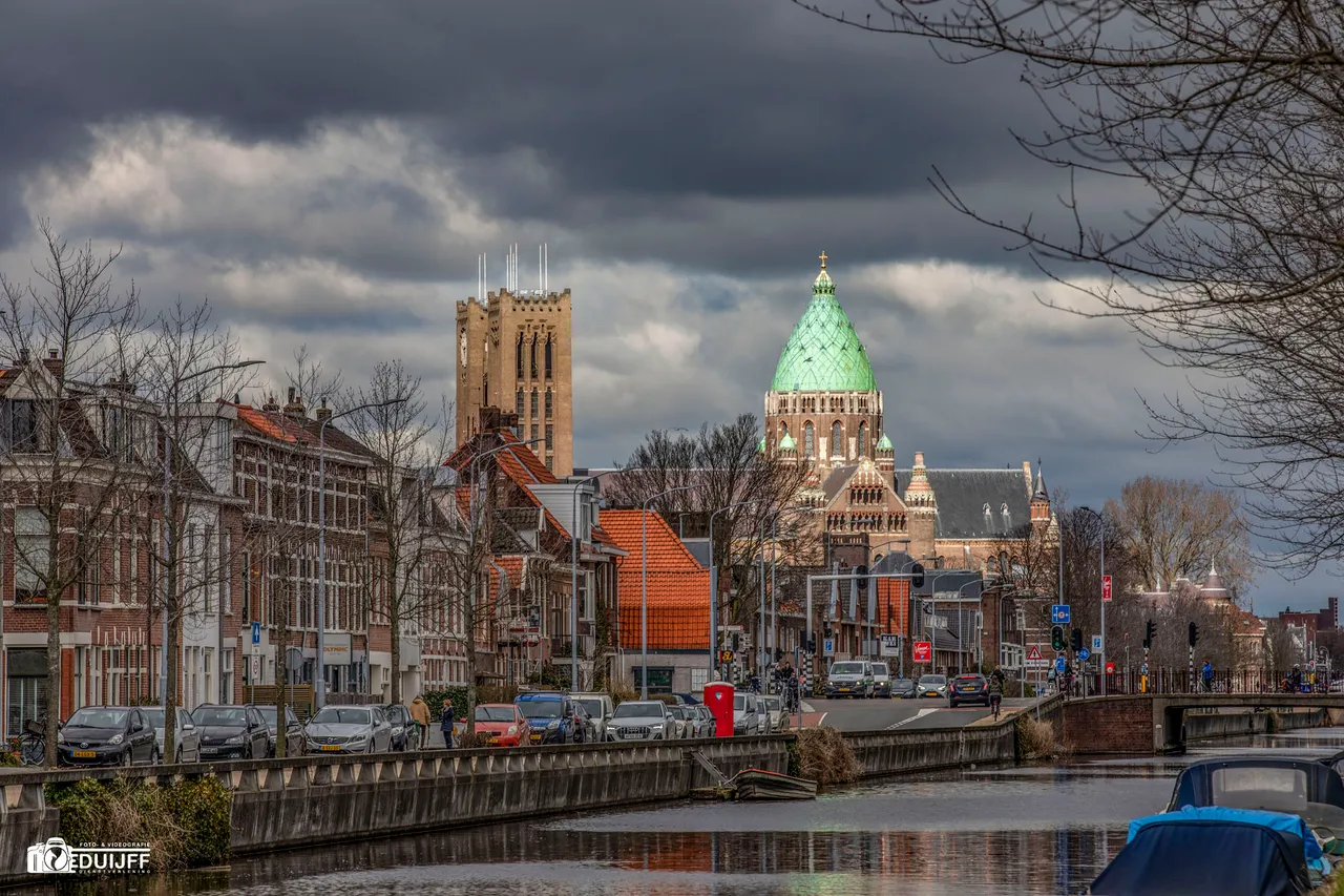 bavo basiliek