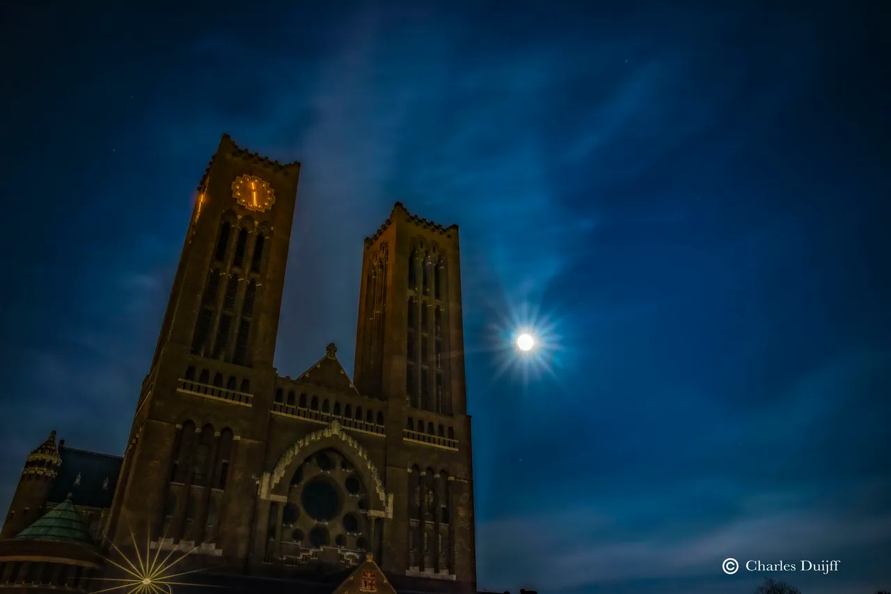 bavo basiliek