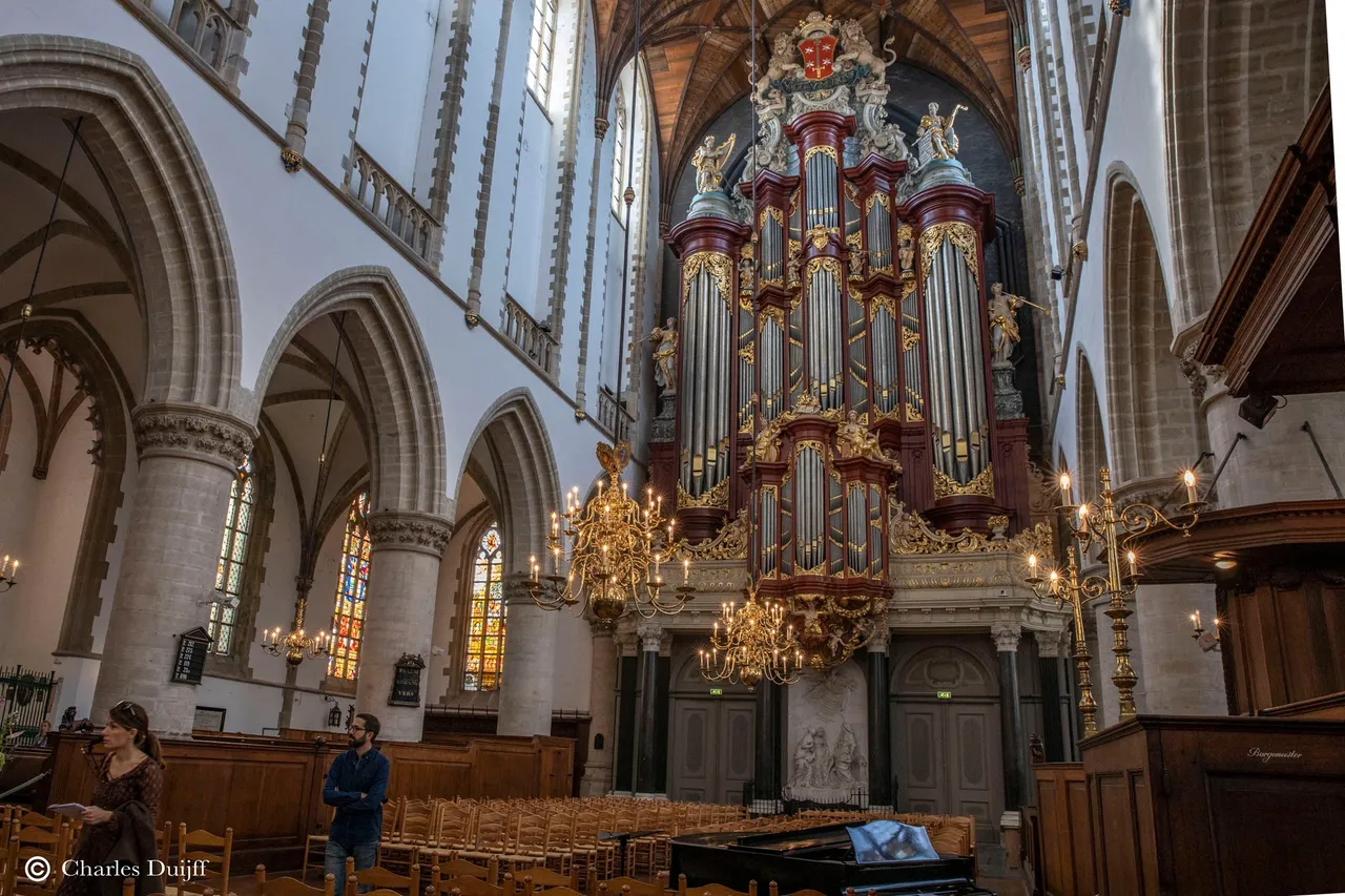 bavo2