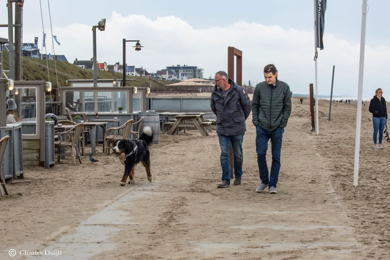 beach hond