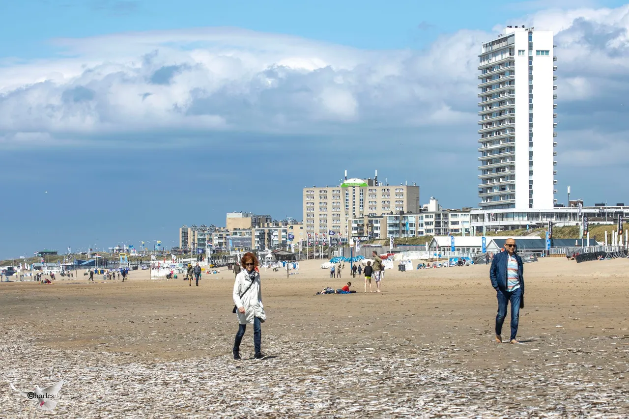 beach mooi