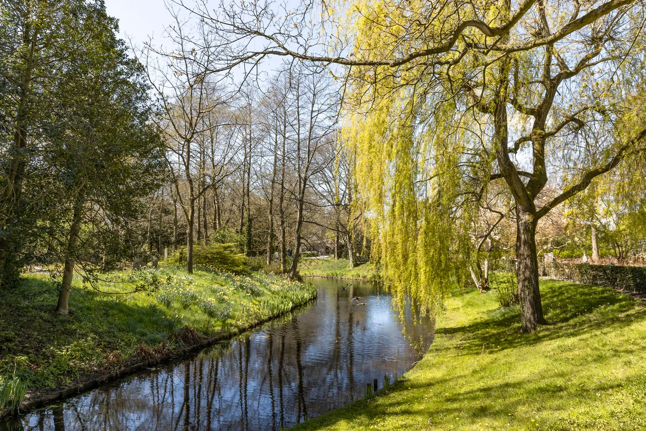 begraafpl treurwilg