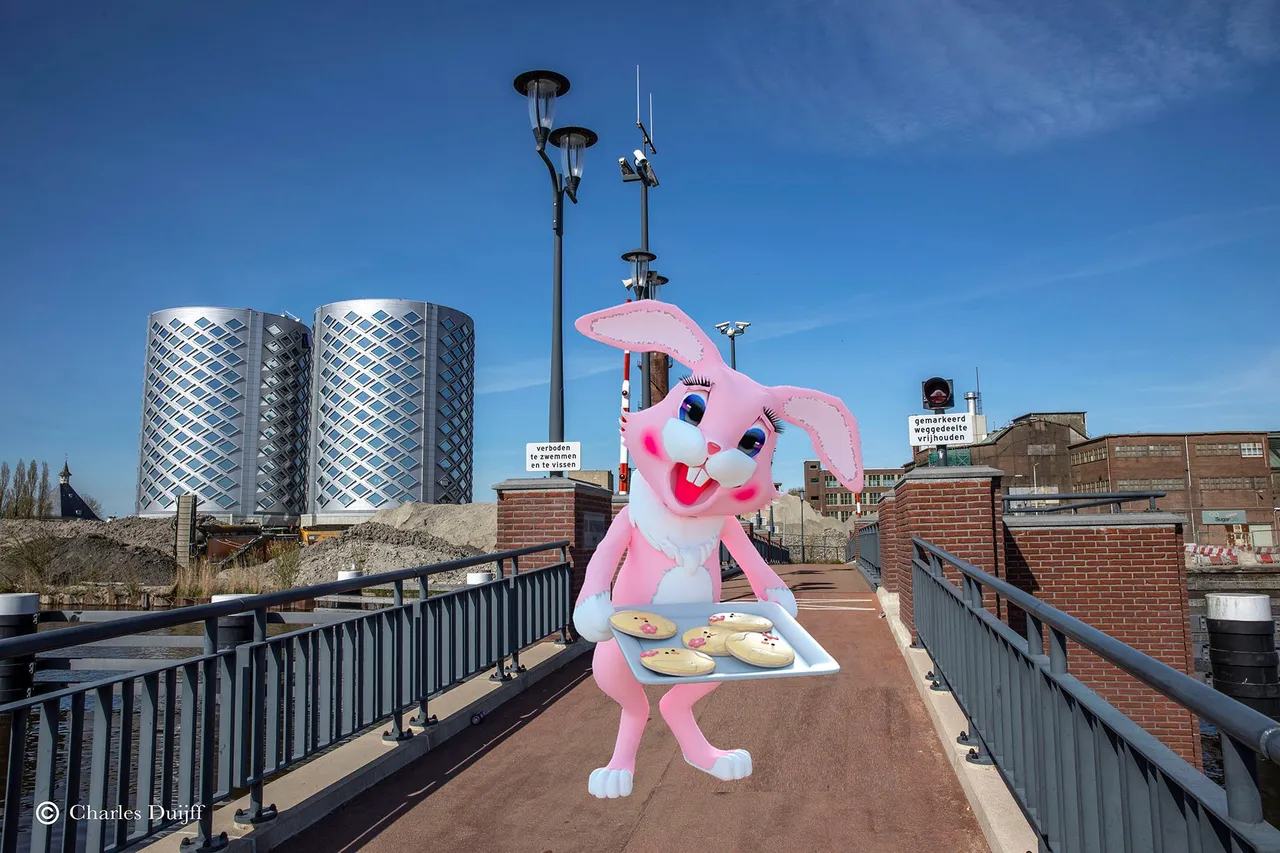 bietenbrug haas
