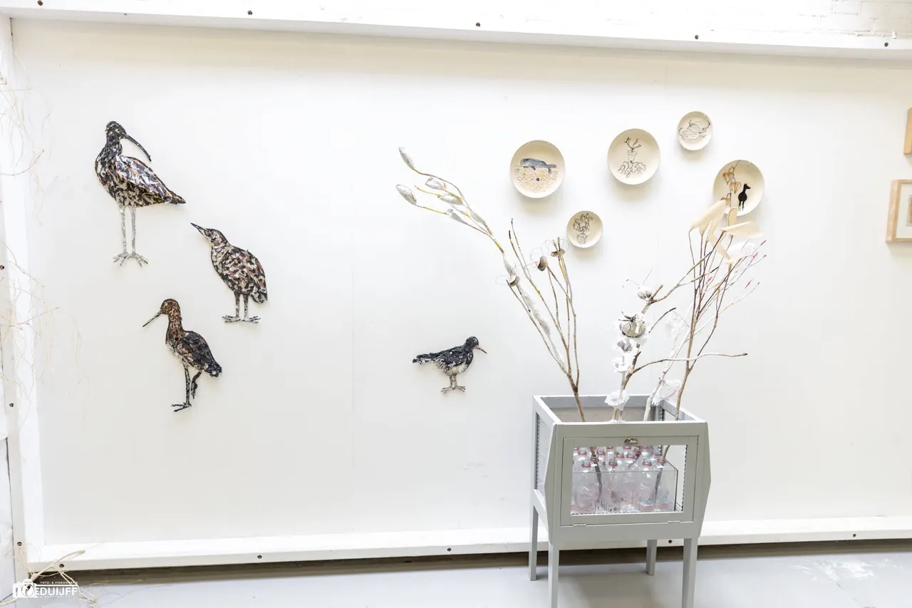 birds
