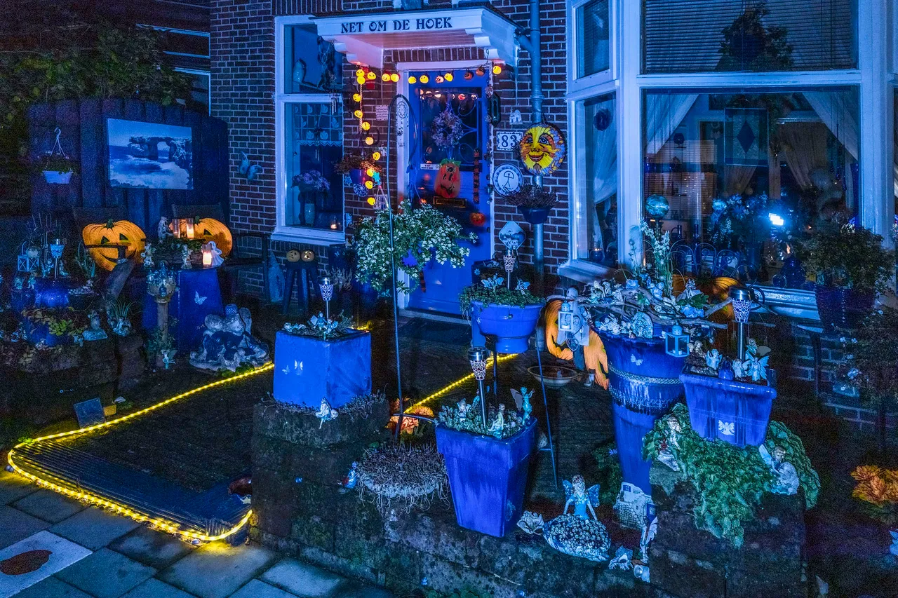 blauwe huis