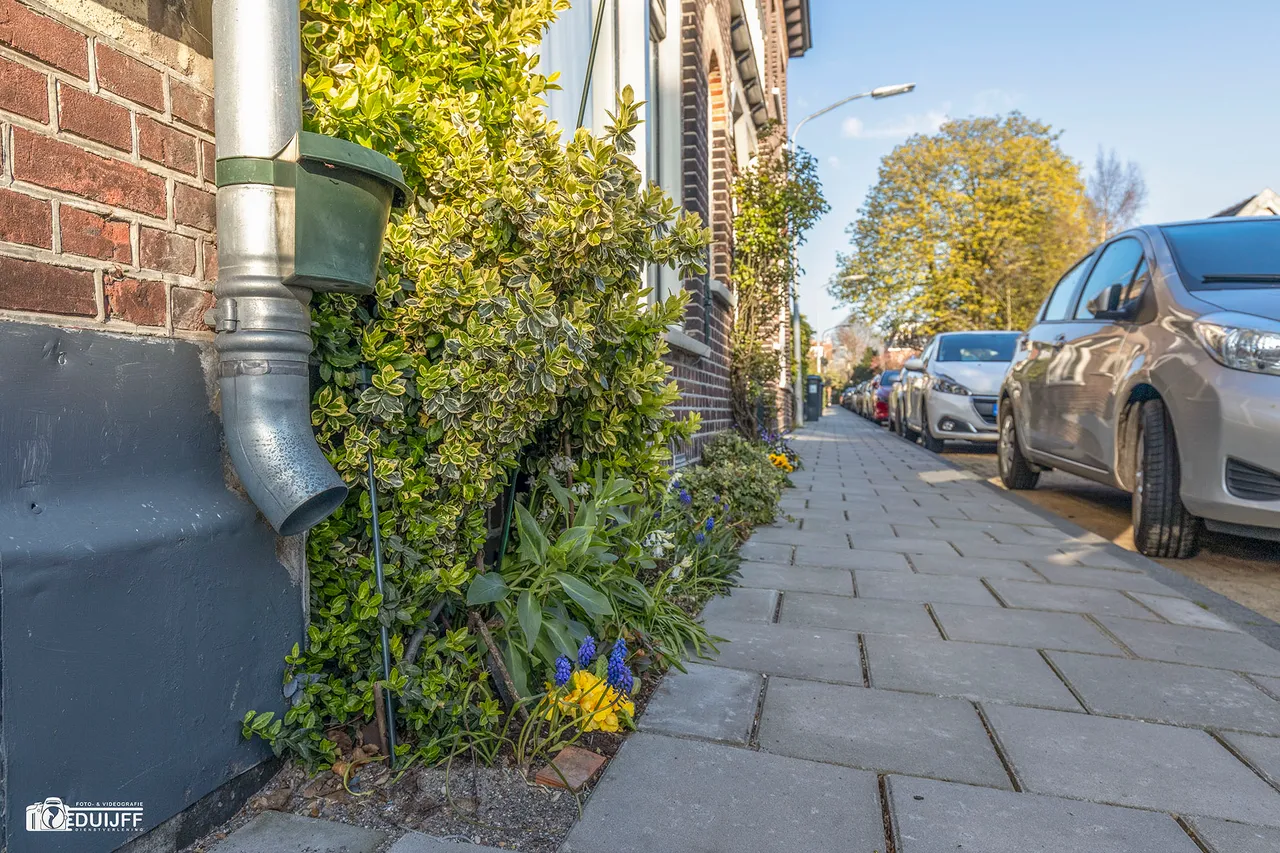 bloemenrand gevel