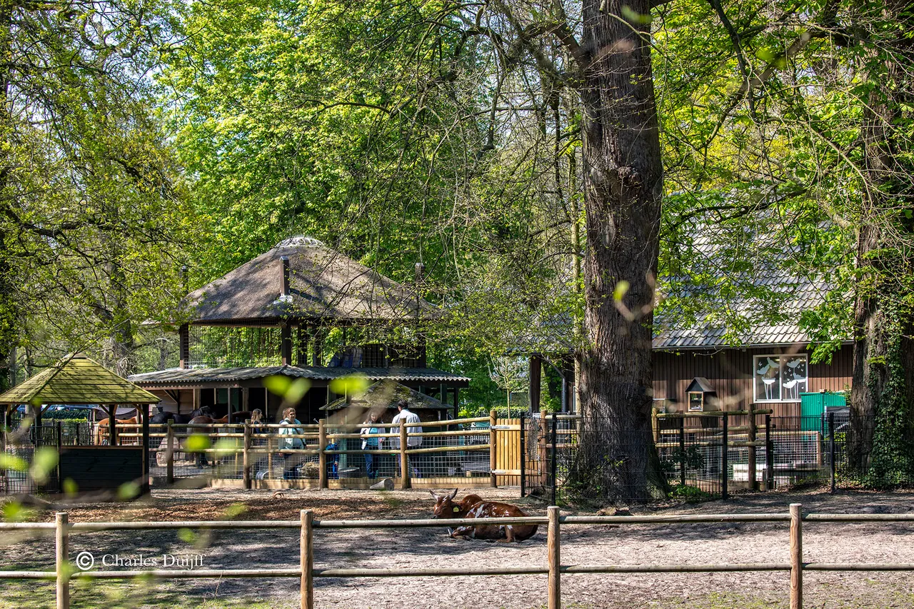 boerderij