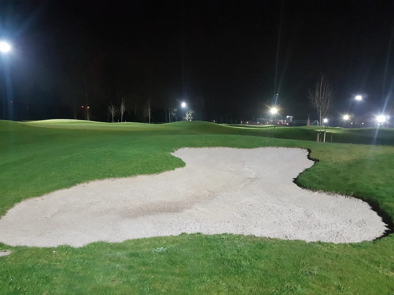 bolstra by night
