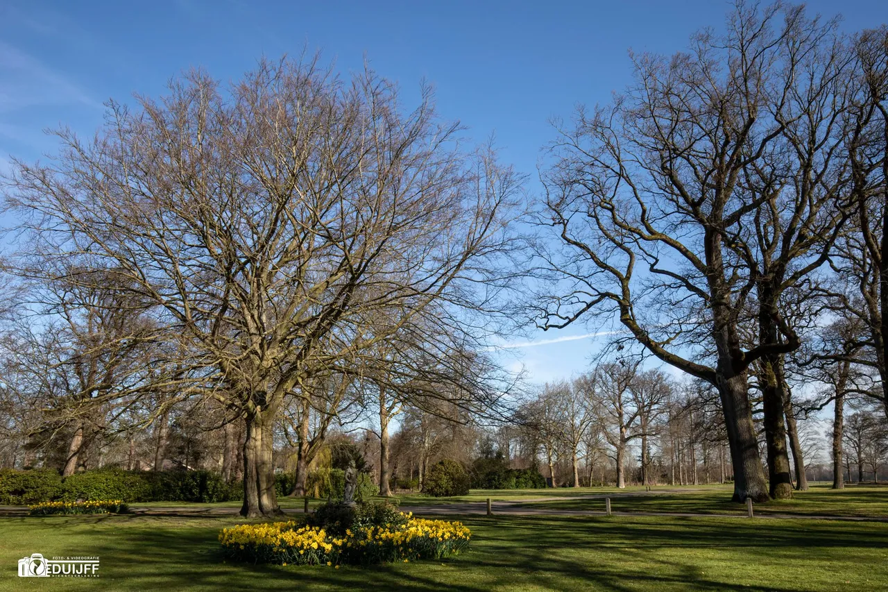 bomen