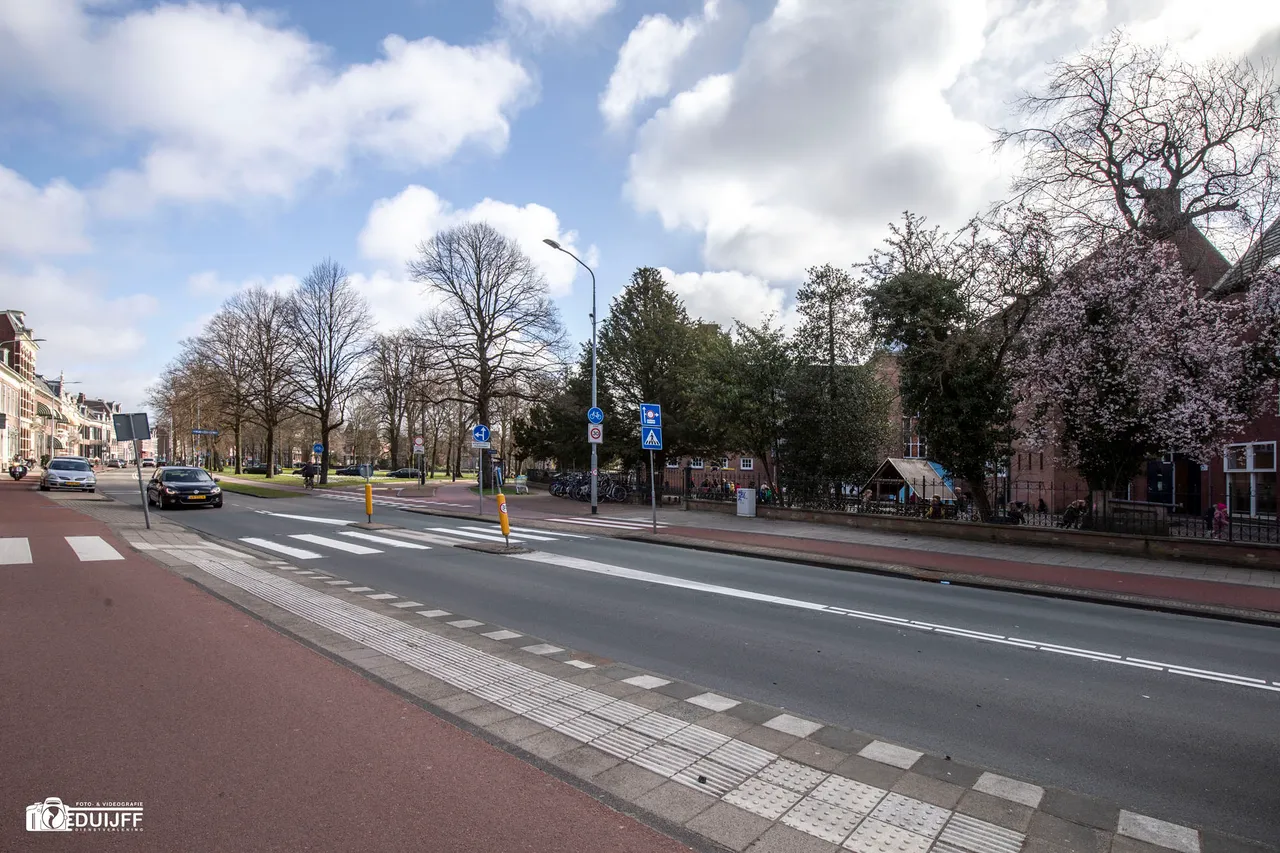 bos en vaartschool