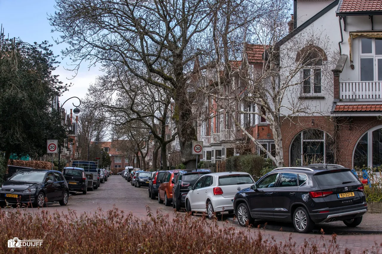 bos en vaartstraat