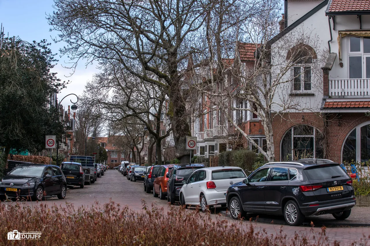 bos en vaartstraat