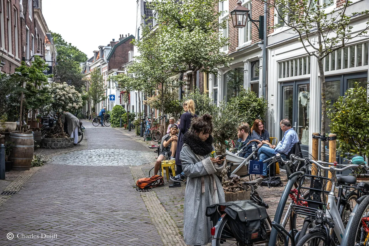 breestr terras