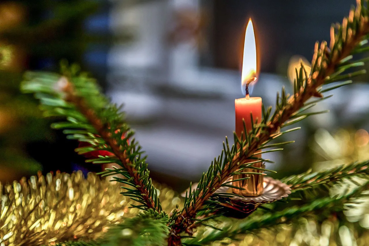 candle in tree