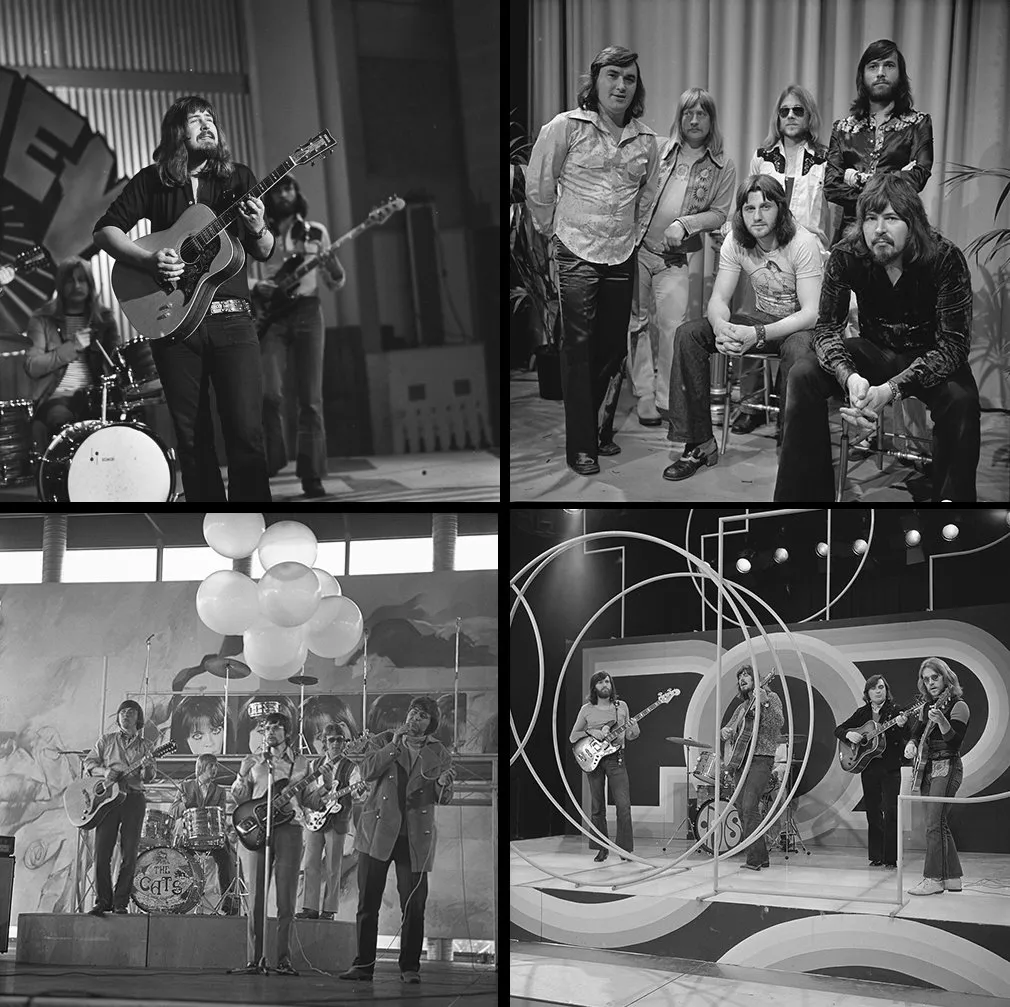 collage cats wikipedia