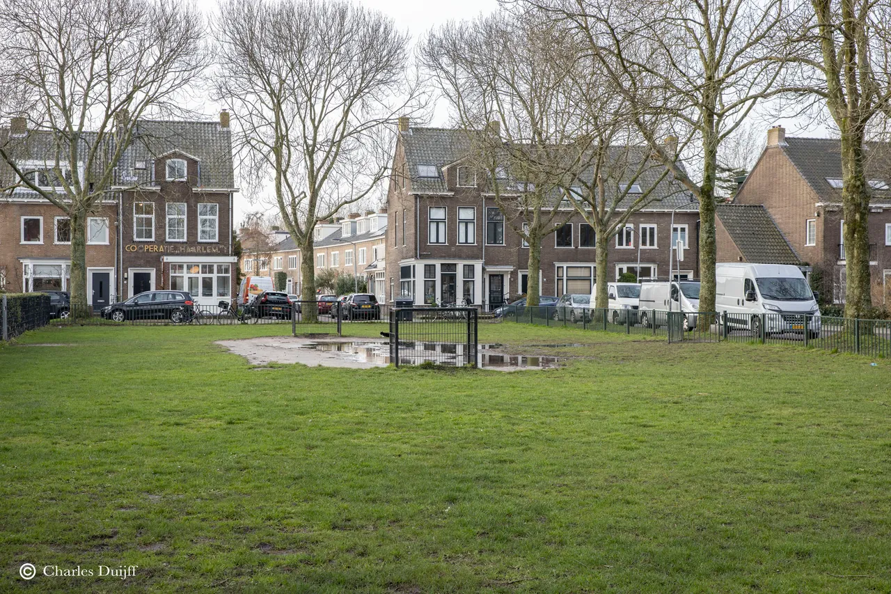 cooperatie en veld1
