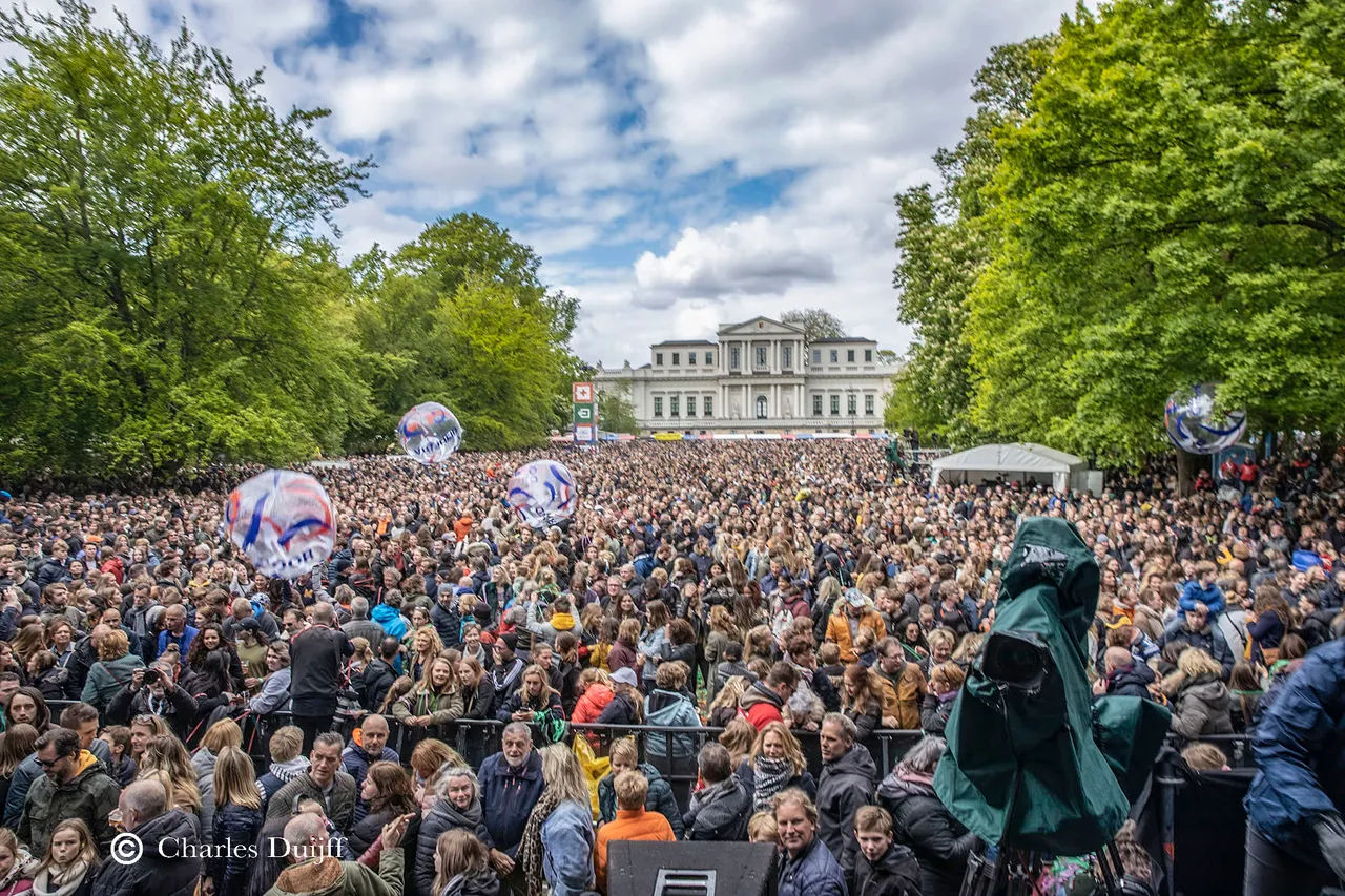 crowd 41