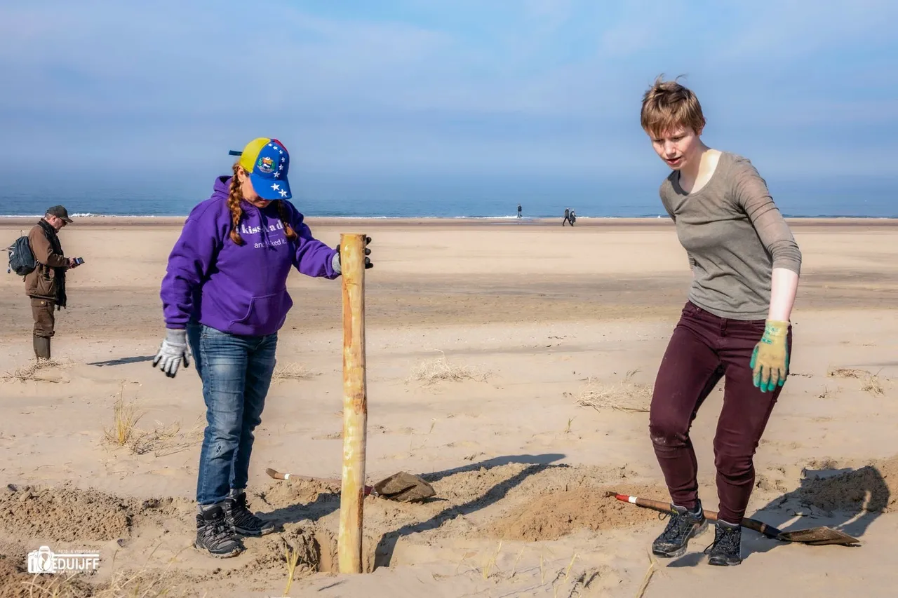 dames in actie