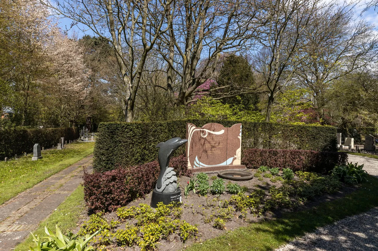 dolfijn